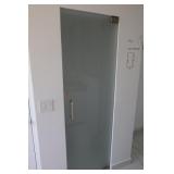 Single Frosted Door