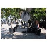 Pair RH Planters with Palms (2)