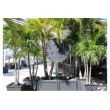 Wrought Iron Name Plate