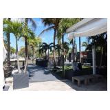 Set 4 RH Planters with Palms