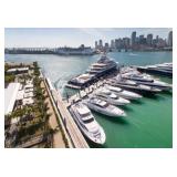 Preview Lot - No Bidding Here