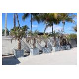 Large Composite/Metal RH Planters Vetro Square (6)