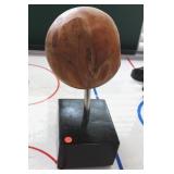 Petrified Wood Decor