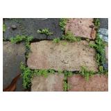 Brick Pavers