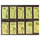1934 Golf Cards, St Andrews course Churchman