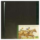 Ireland Stamps Booklets Mint NH in 2 sleeve pages