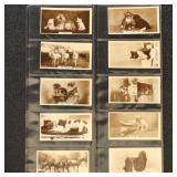 Cats & Dogs 1932 De Reszke (Milhoff) Real Photogra