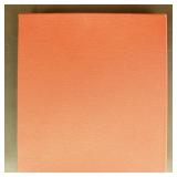 Vatican City Stamps in Lighthouse Hingeless album