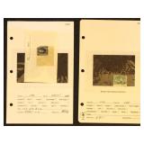 US Stamps on Dealer Cards, includes 15 Cent Small