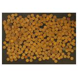 US Coins 450+ Wheat Pennies accumulation in loose