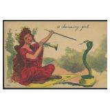 2 Snake related US Postcards, 1908 color snake cha