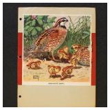 US 1940-1947 National Wildlife Federation Albums w