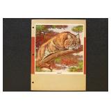 US 1939 National Wildlife Federation Album with Po