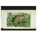 Original Art & Mock-ups for Solomon Islands Stamps