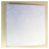 US Stamps 1900s-1920s (Scott number range #300 //