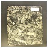 Christmas Stamps Topical Collection in Binder