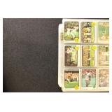 1970s Topps Baseball Cards, all Cincinnati Reds in