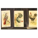 1910 Philadelphia Confection Zoo Candy Cards, 6 di