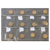 US Coins Indian Head Cent Lot on page, circulated