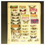 Worldwide Stamps on Stockpages, 1,000+ mint hinged