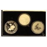 US Silver Coins 20th Anniversary American Eagle Se