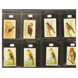 1920s-1930s Useful Birds Arm & Hammer Cards group,