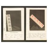 US Stamps Mint NH Plate Number Coils on dealer pag