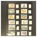 US Federal Duck Stamps Mint NH Collection on Vario