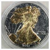 US Silver Coins 2007 American SilverEagle 1 oz wit