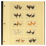 Players Cigarette Cards 40 Chicken Cards on pages