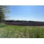 20, 30, 72 Acre Tract(s) Coming to Auction Soon