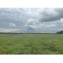 COMING SOON - Bates County Farm and Home at Auction