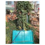 Vine covered fountain with gardening tools