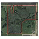 Dekalb County Land Auction, 117 Acres m/l offered in multiple opportunities.