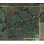 Dekalb County Land Auction, 117 Acres m/l offered in multiple opportunities.