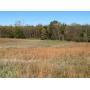 Dekalb County, MO. Land Auction, 117 Acres m/l offered in multiple opportunities.