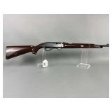 Remington Nylon, Mohawk 10C .22 LR Semi Auto Rifle w/magazine