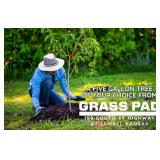Choose Your Own 5-Gallon Tree from Grass Pad