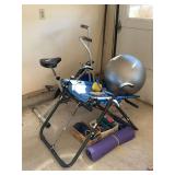 Home Fitness Lot: Weslo Pursuit 2.0 DS Exercise Bike, AB Lounge Sport, Exercise Ball, Weights, Yoga Mat, and More