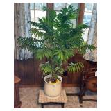 Potted Parlor Palm on Wooden Stand