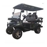 SDLGC80 GOLF CART