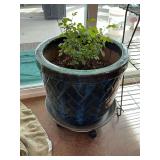 Large Blue Ceramic Pot with Rose