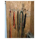 Leashes, leads, umbrella and more