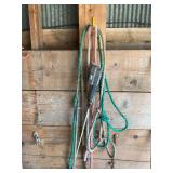 Hot shot & halters