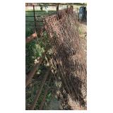 Cattle Panel Lot