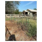 Heavy duty tomato cages