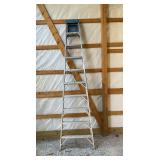 Werner 10 foot Ladder