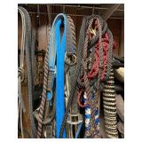 Halters, lead ropes, lunge lines and helmet