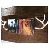 Coffee table books, and set of antlers