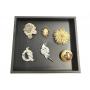 Fashion Jewelry Brooches